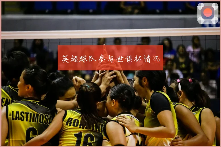 英超球队参与世俱杯情况